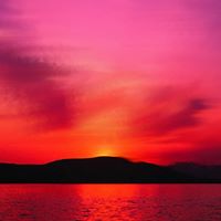 Dawn Mason Photo 7