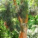 Geraldine Watts Photo 19