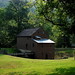 Mamie Mills Photo 5