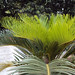 Karen Korte Photo 10