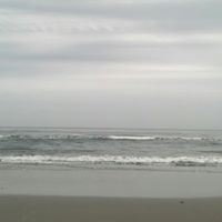 Debbie Layton Photo 7