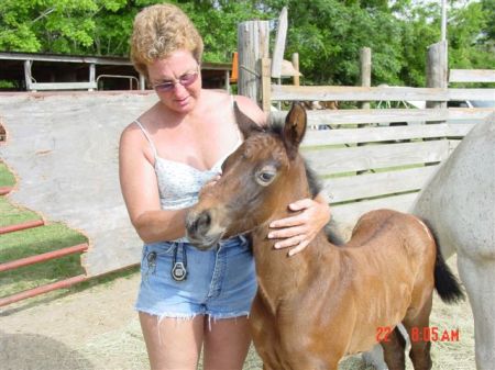 Debra Mitchell Photo 11