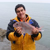 Paul Barton Photo 7