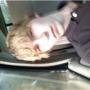 Steven Langford Photo 16