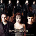 Dawn Fox Photo 20