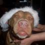 Bonnie Dailey Photo 16