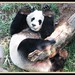Xiang Fan Photo 11