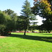 John Olmsted Photo 16