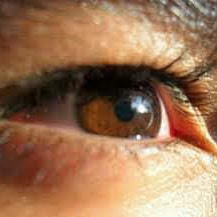 Antonio Cortez Photo 11
