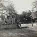 Richard Mathews Photo 13