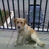 Buddy Roberson Photo 4