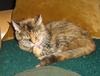 Judy Wagner Photo 18