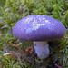 Suzanne Tufts Photo 11