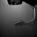 Robin Wolf Photo 25