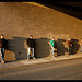 Steve Morgan Photo 11