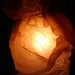 Elizabeth Seeley Photo 19