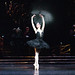 Roland Wiley Photo 12