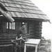 Frank Nelson Photo 17