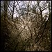 Donna Dobbins Photo 27