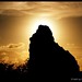 Cesar Andrade Photo 23