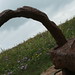 Rusty Martin Photo 13