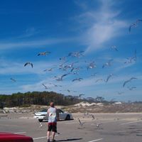 Kevin Oehler Photo 2