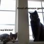 Stacie Becker Photo 28