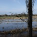 Glenn Flood Photo 13
