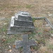 Nicholas Jenkins Photo 9