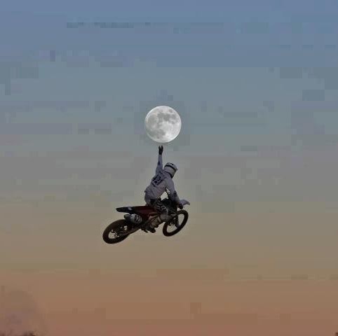 Afshan Syed Photo 6