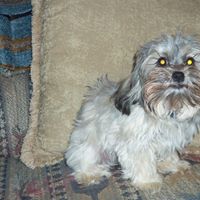 Joann Lindsey Photo 27