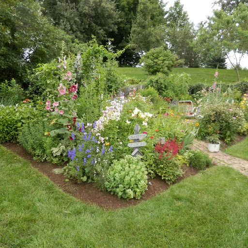 Darlene Scott Photo 14