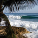 Steve Fitzpatrick Photo 8