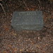 Mitchell Hunter Photo 20