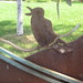 Harriet Lawrence Photo 15