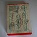 Alice Newell Photo 16