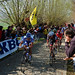 Van Quick Photo 8
