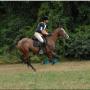 Michael Hendrickson Photo 15