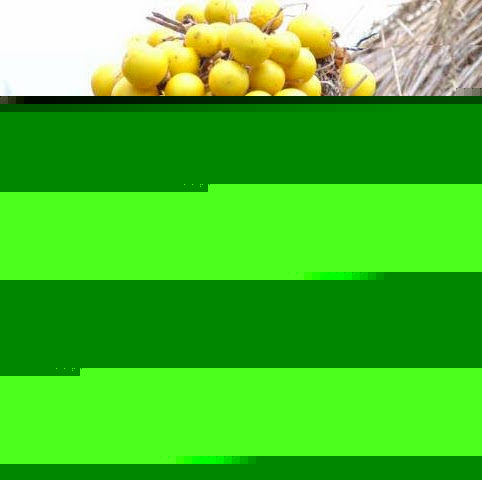 Vanessa Murray Photo 37