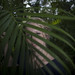 Christina Butler Photo 37
