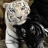 Connie Snider Photo 36