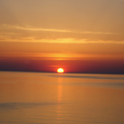 Andrea Calvert Photo 4