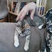 Amy Forrest Photo 22