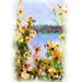 Cynthia Wilder Photo 23