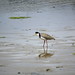 Wade Hooper Photo 9