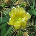 Lynn Sharp Photo 26