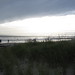 Judith Rogers Photo 32