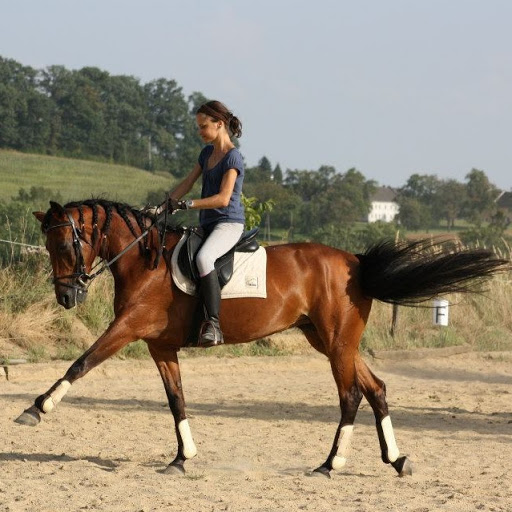Daniela Knoll Photo 8