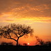 Sandra Lever Photo 1