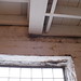 Laura Flood Photo 9
